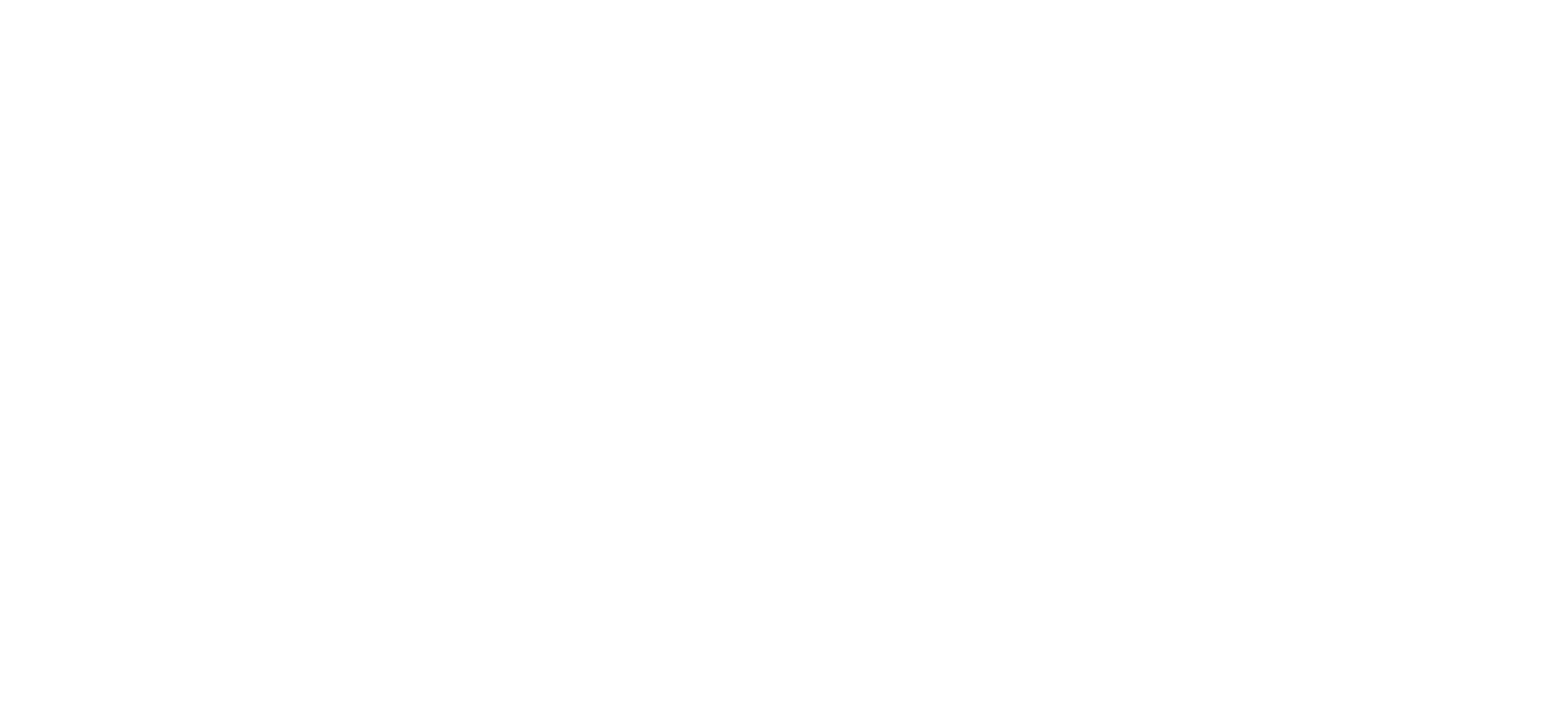 Wizz Air logo